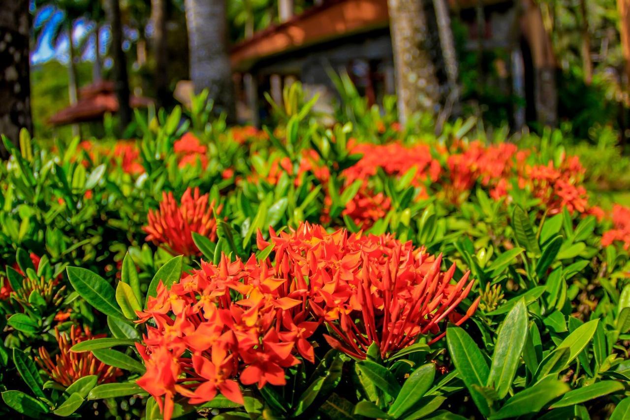 Marea Brava Hotel 哈科 外观 照片